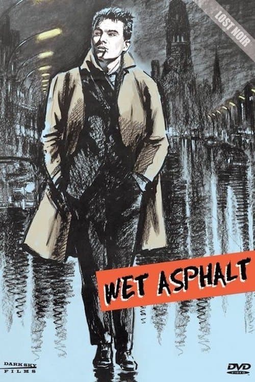 Wet Asphalt photo