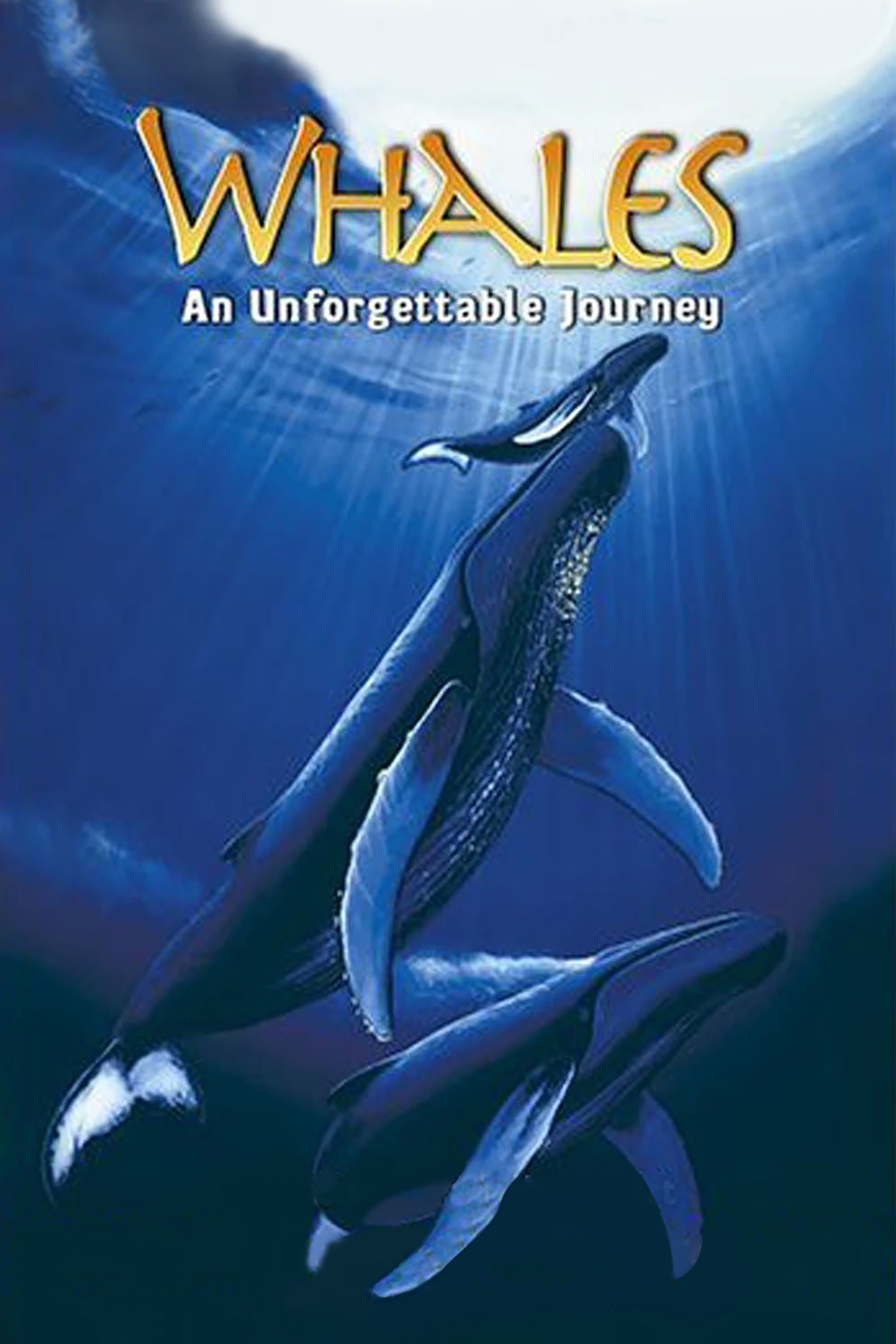 Whales: An Unforgettable Journey photo