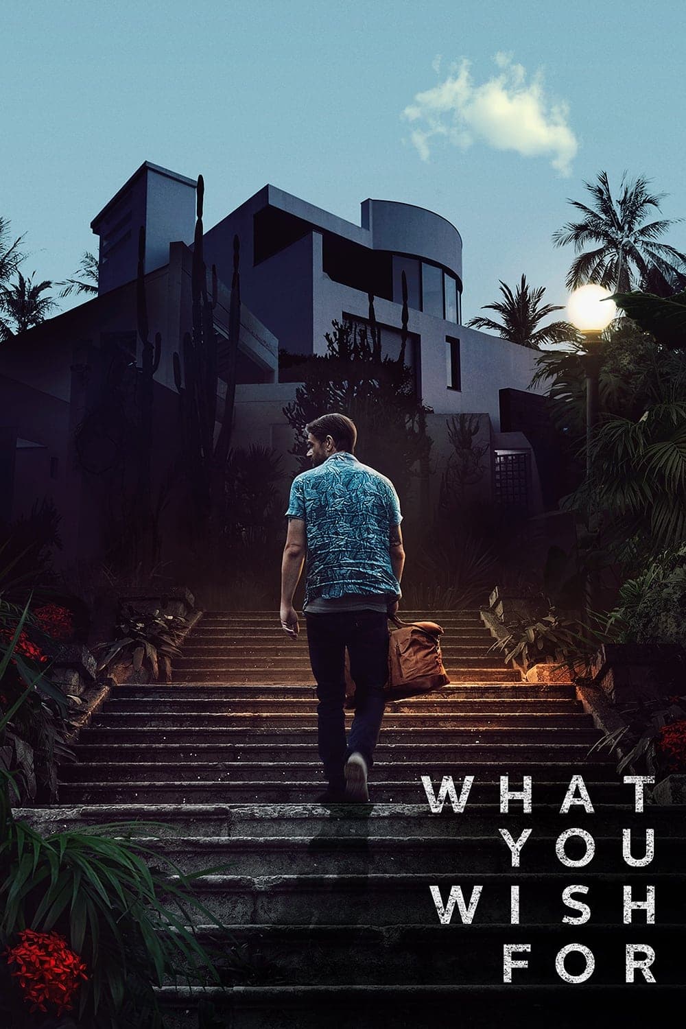 What You Wish For photo