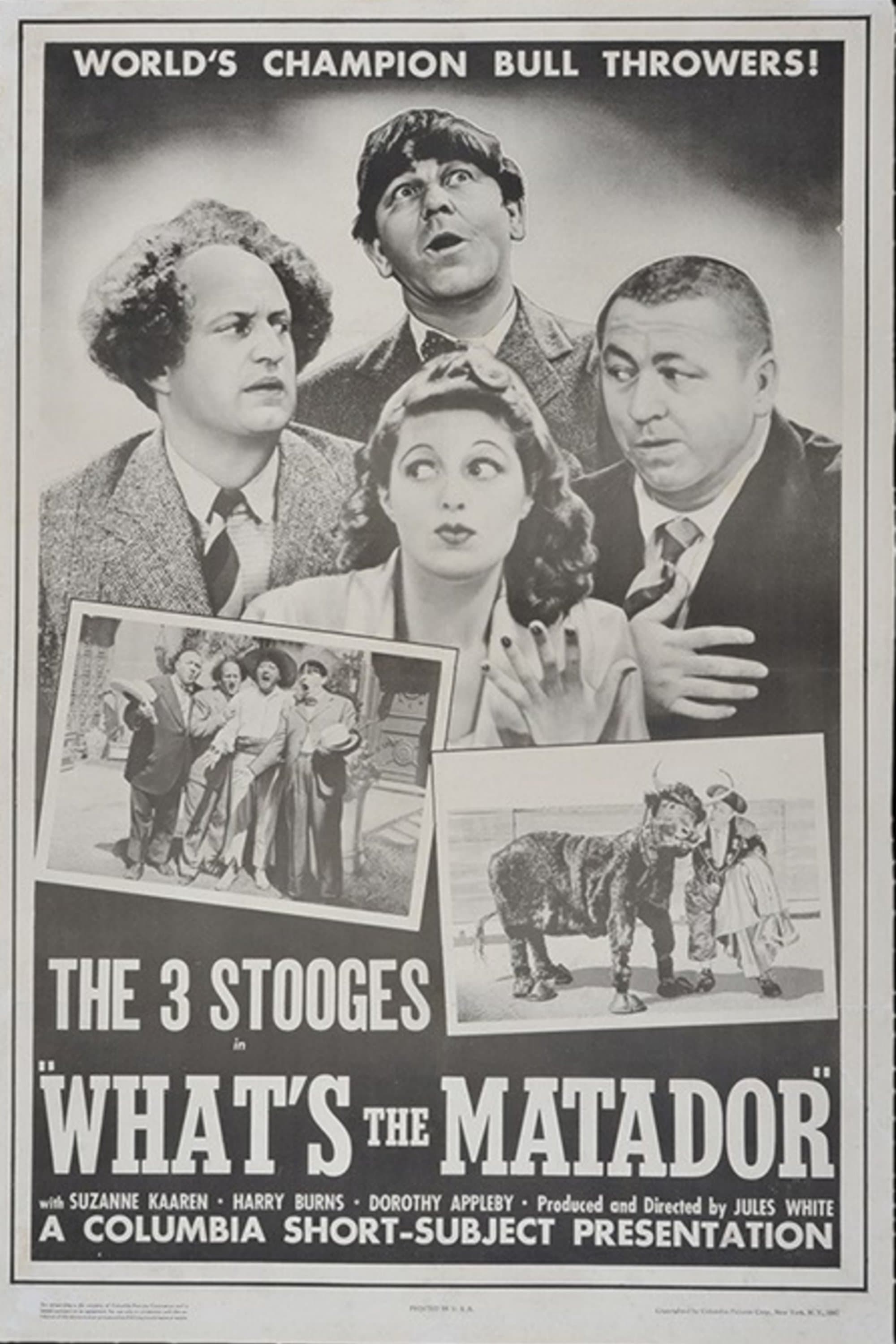 What's the Matador? photo