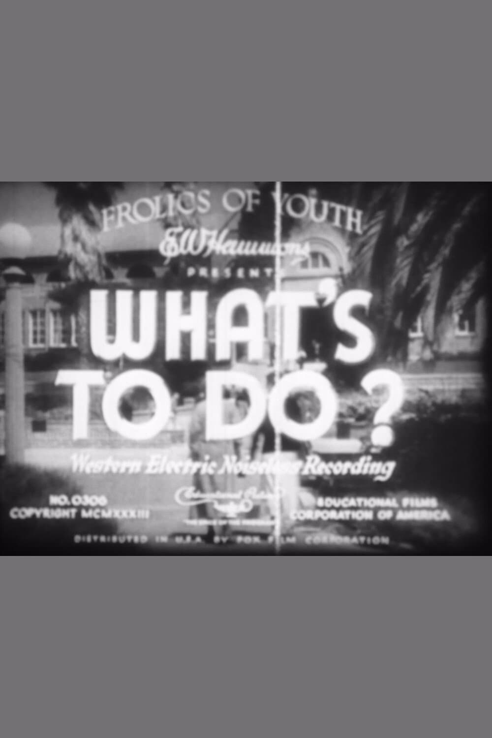 What's to Do? photo