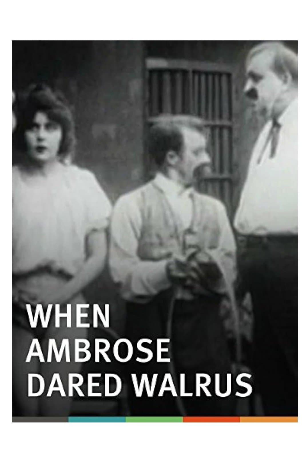 When Ambrose Dared Walrus photo