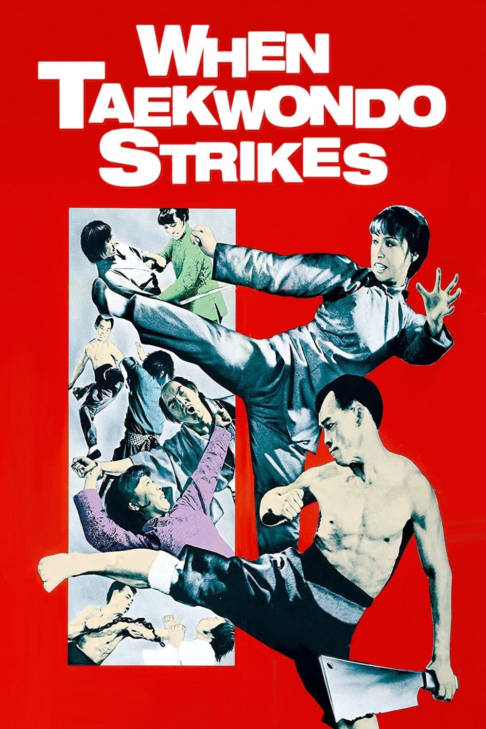 When Taekwondo Strikes photo