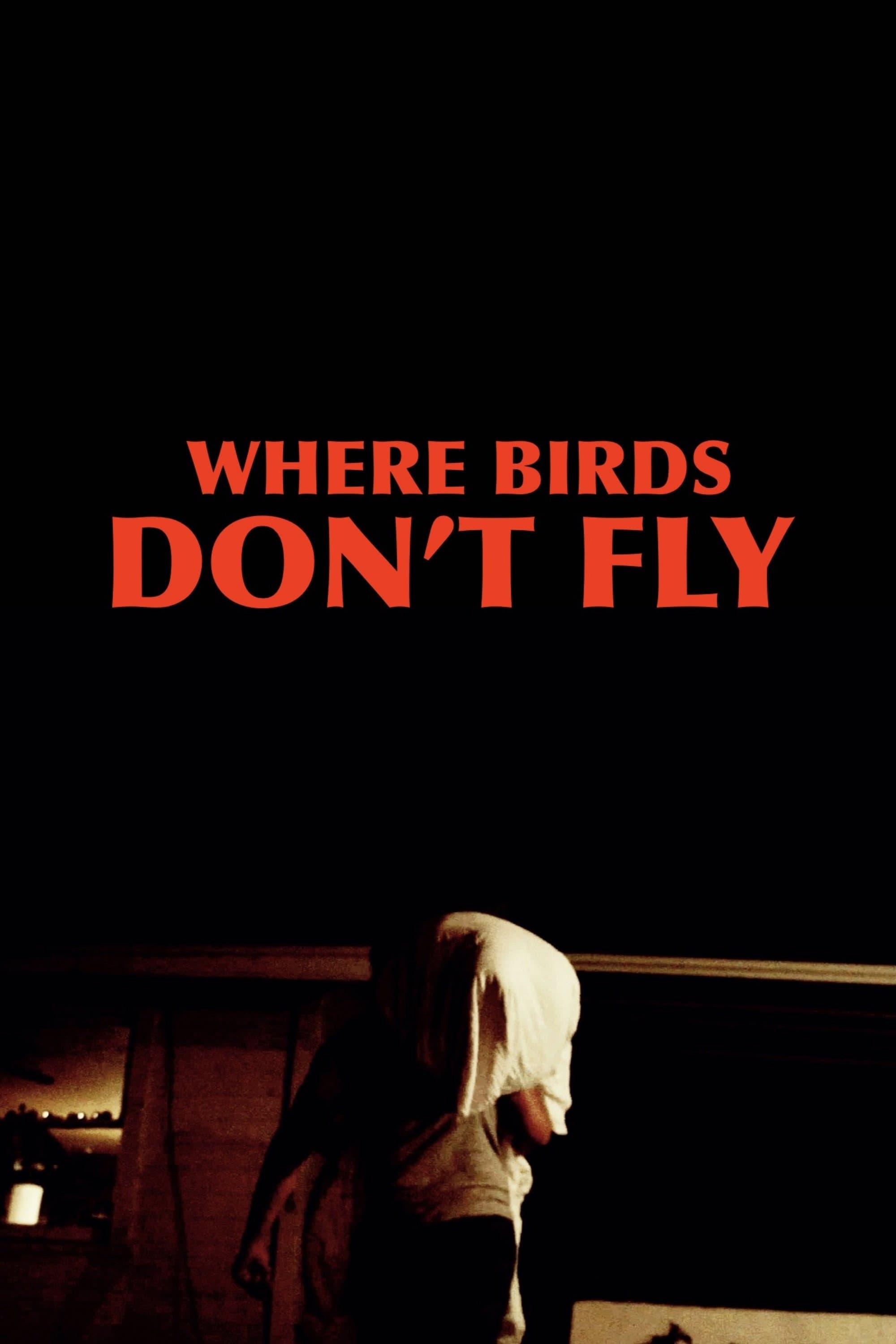 Where Birds Don't Fly photo