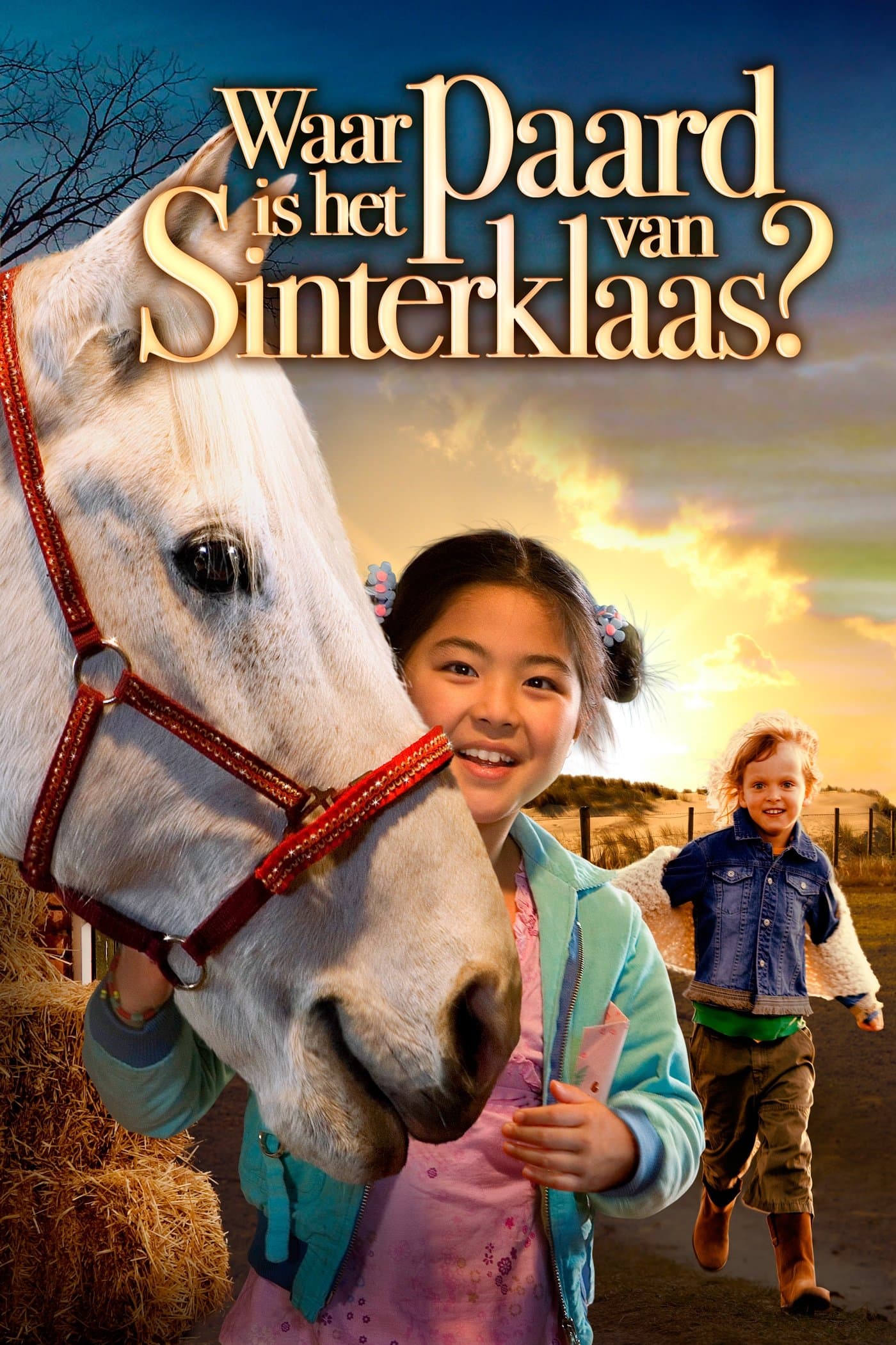 Where Is Winky's Horse? photo