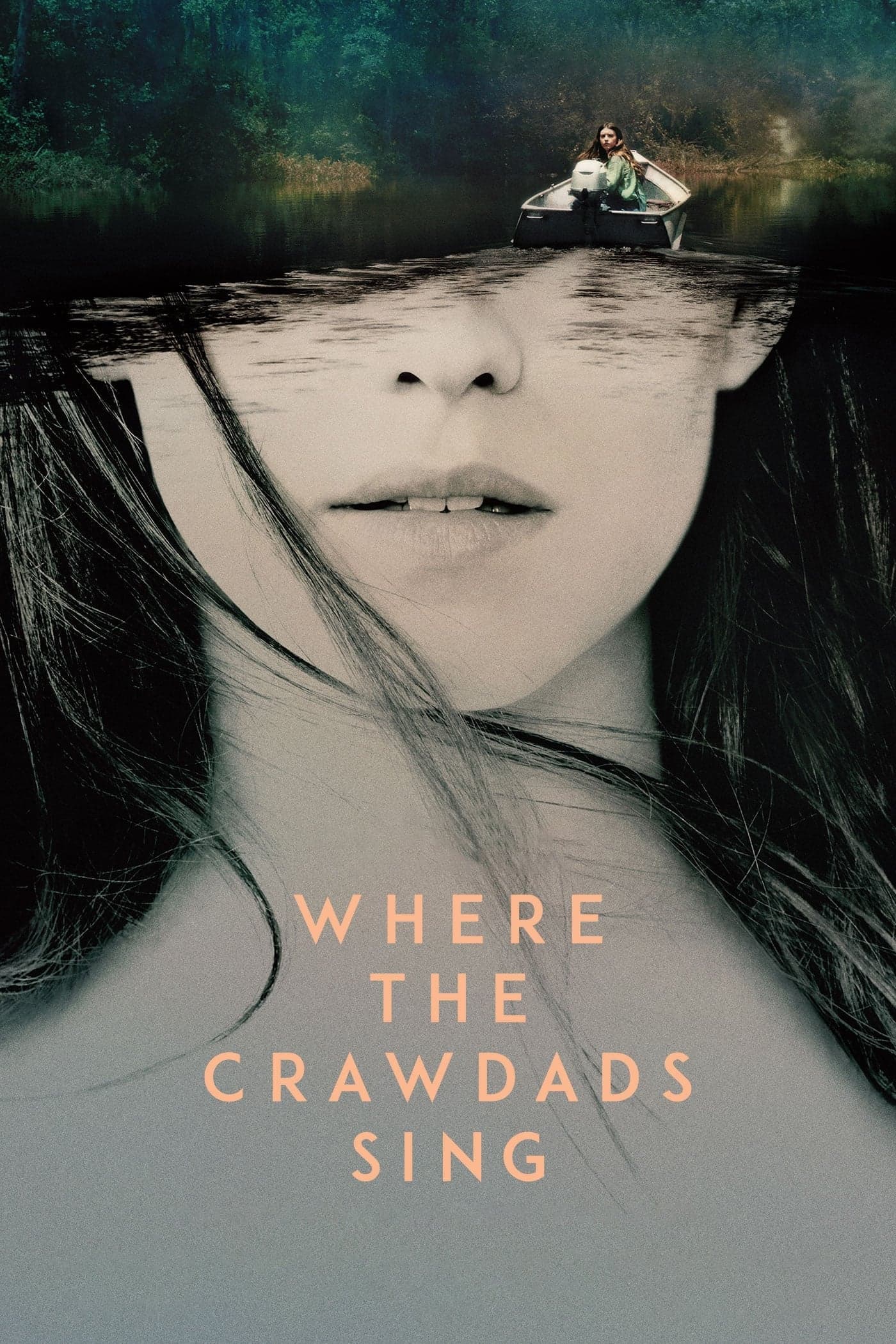 Where the Crawdads Sing photo