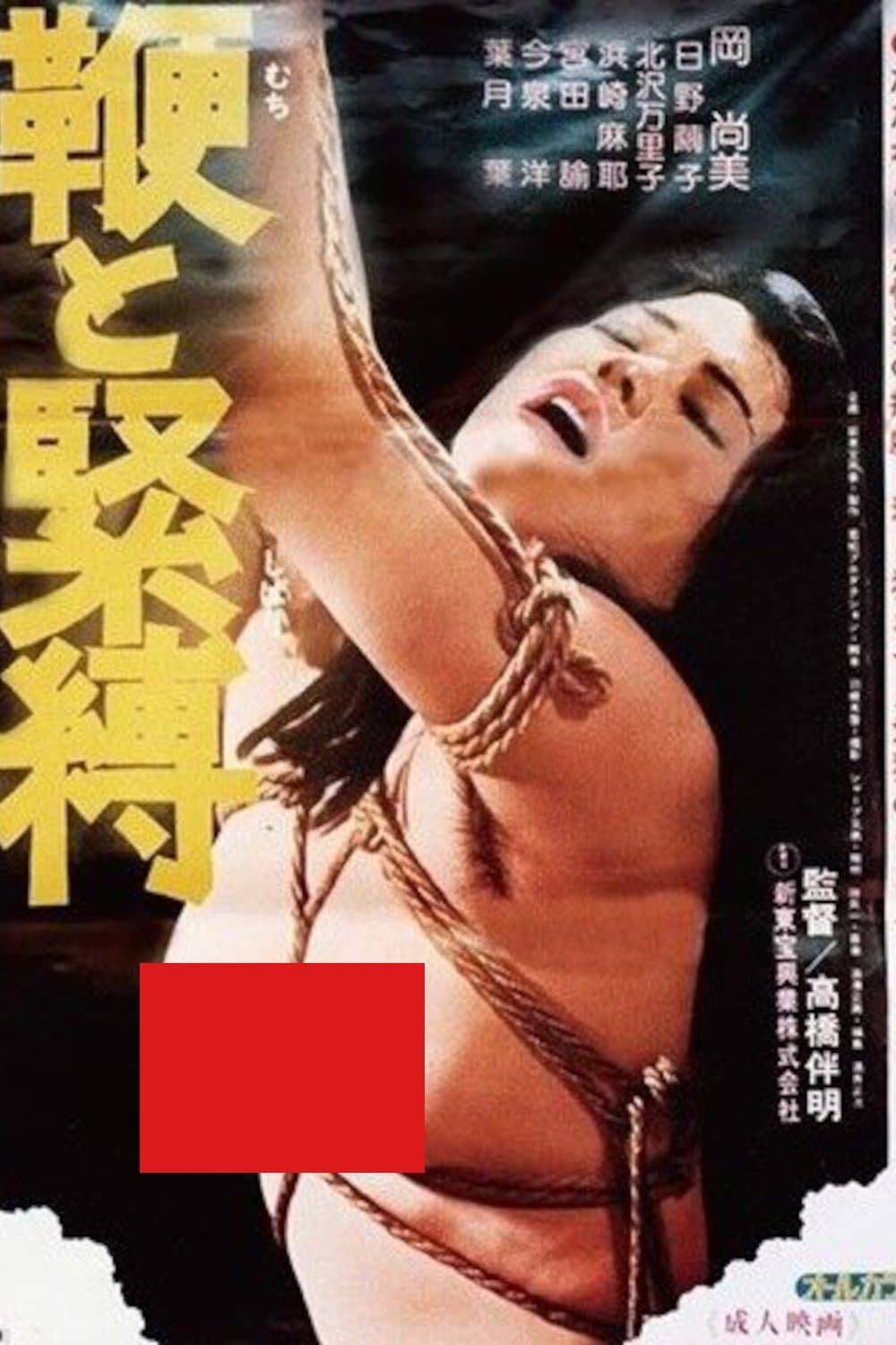 Whip and Bondage photo