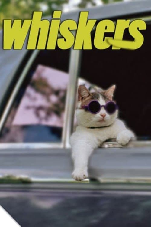 Whiskers photo