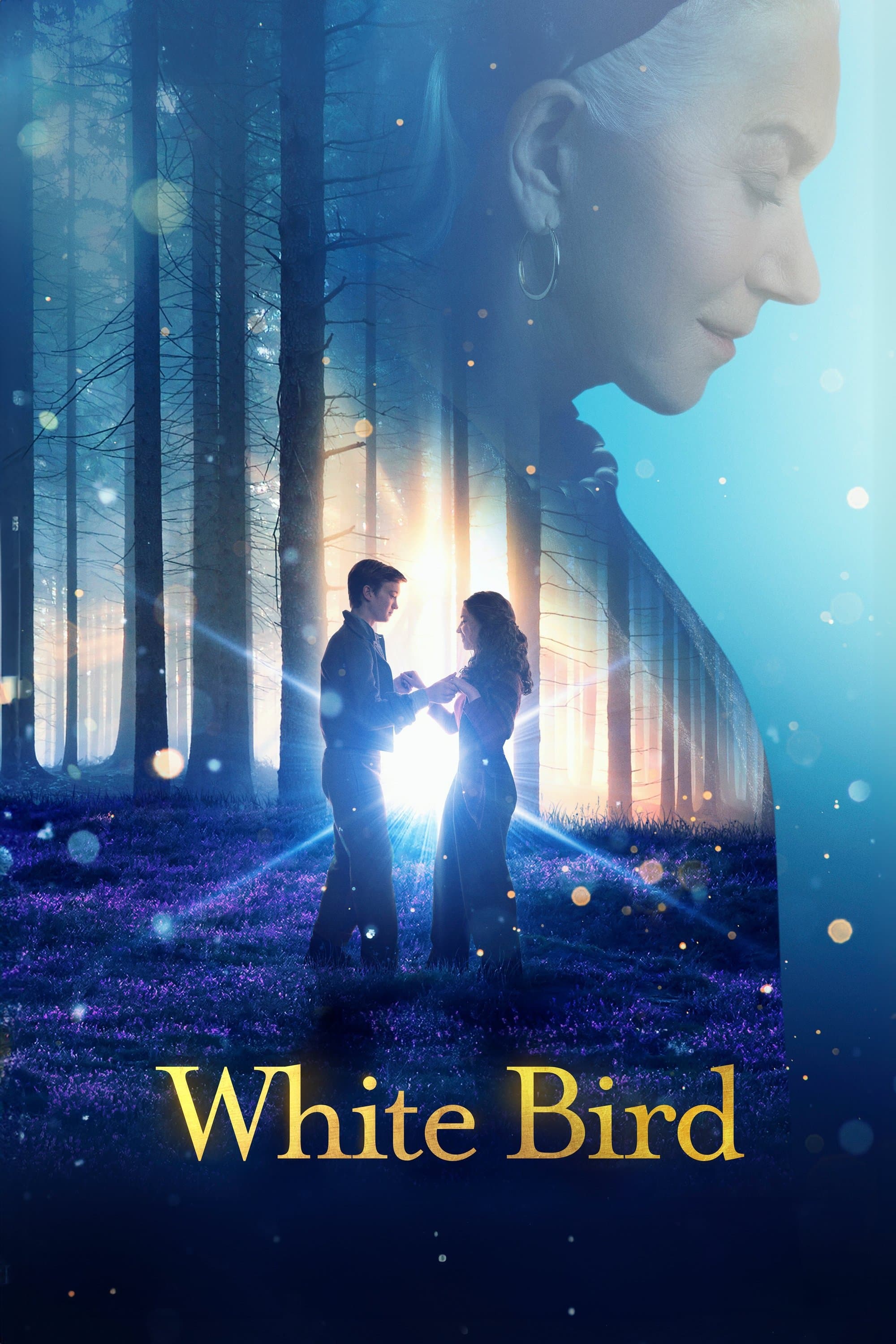 White Bird photo