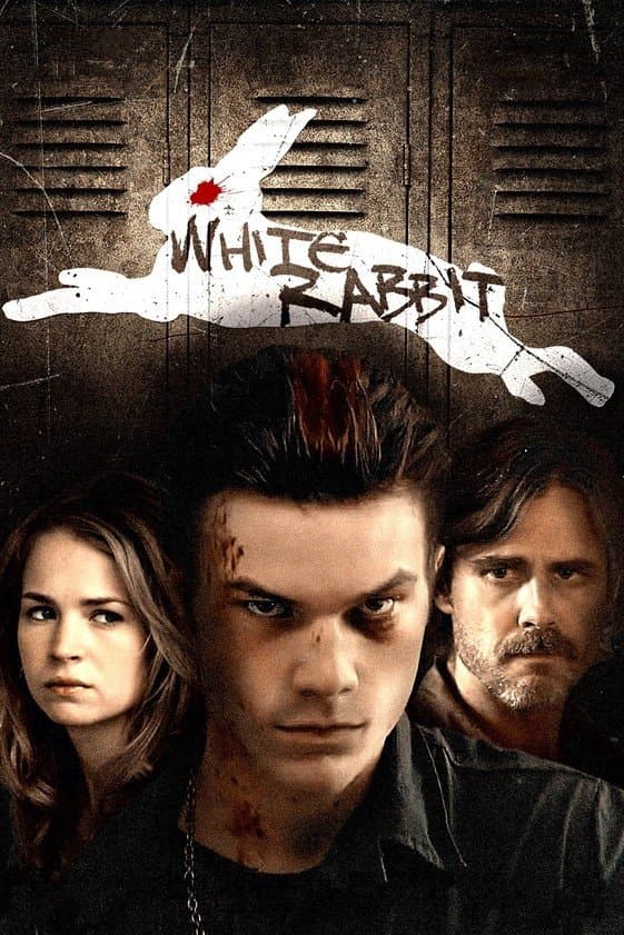 White Rabbit photo