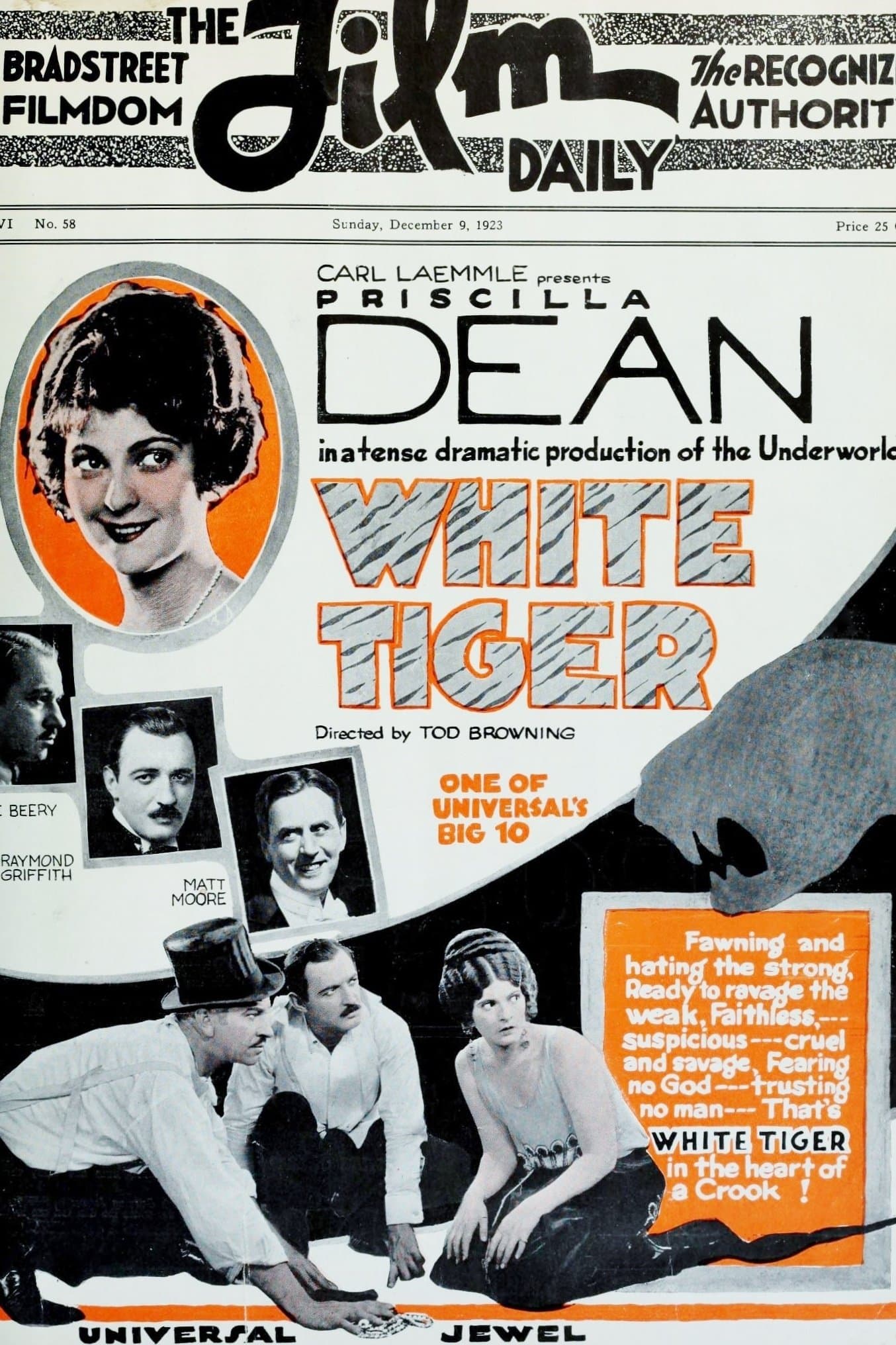 White Tiger photo