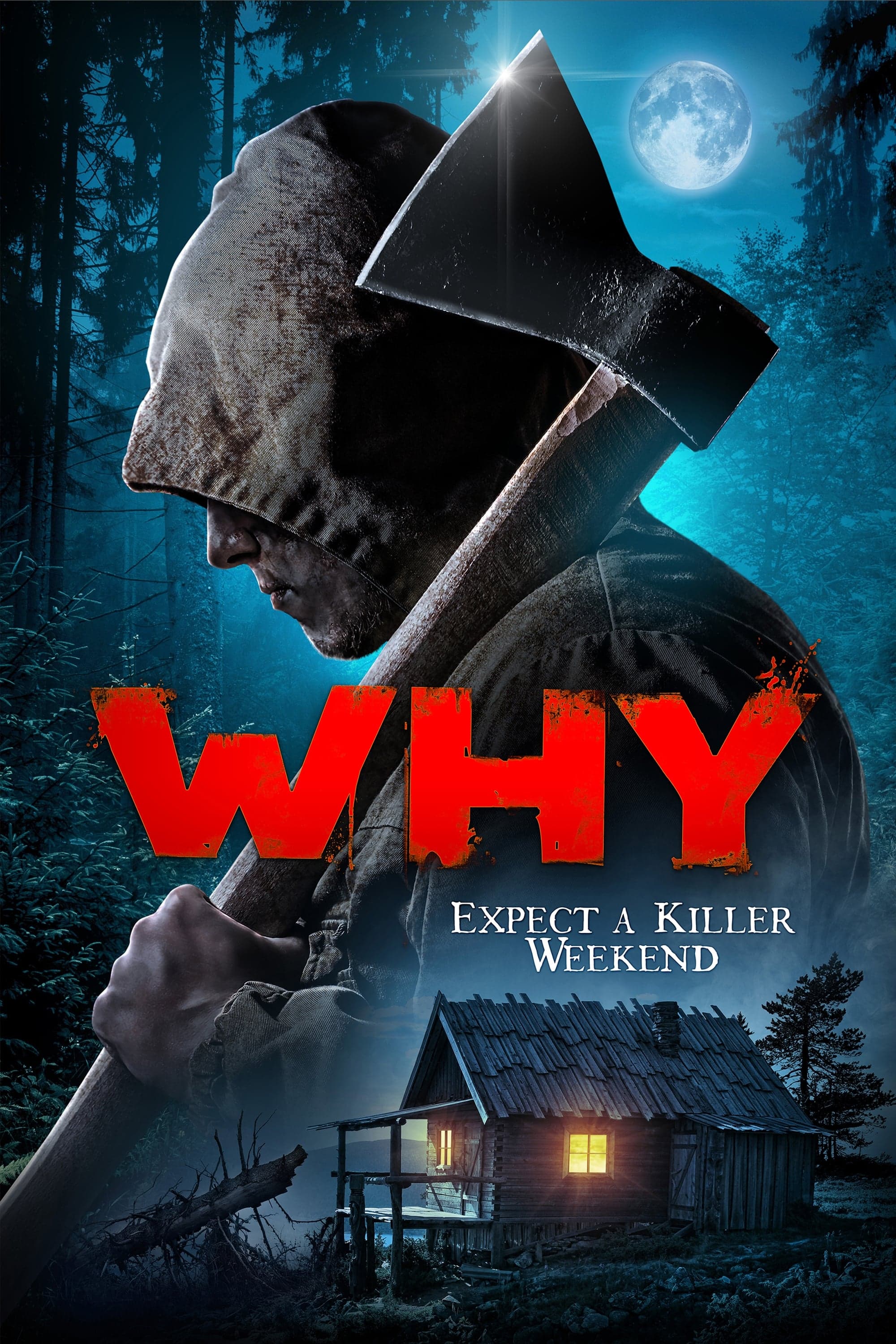 Why? photo
