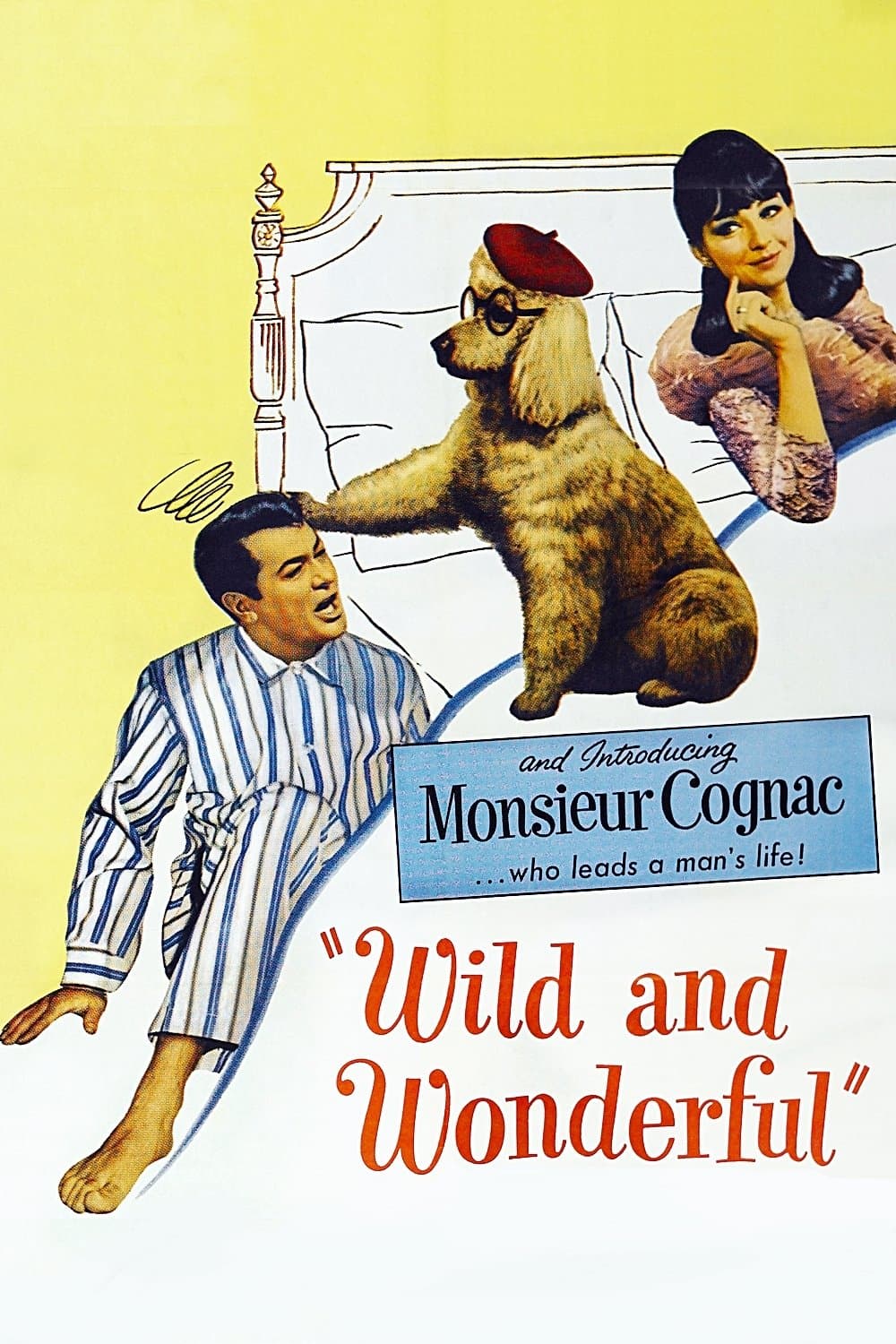 Wild and Wonderful photo