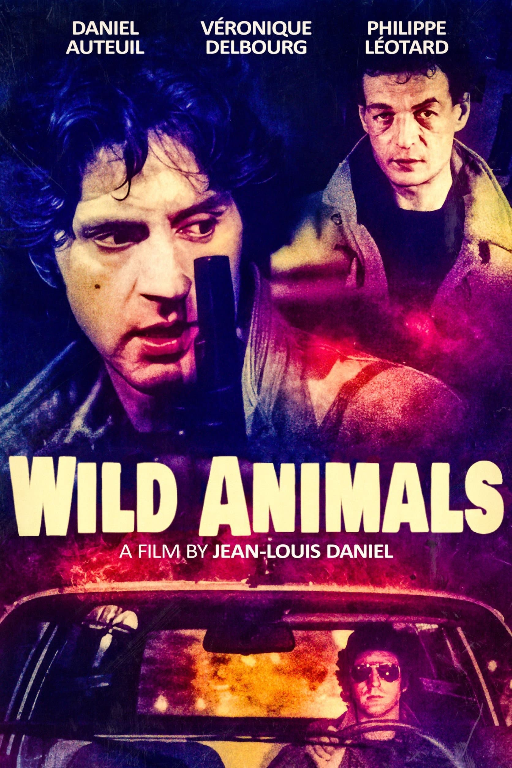 Wild Animals photo