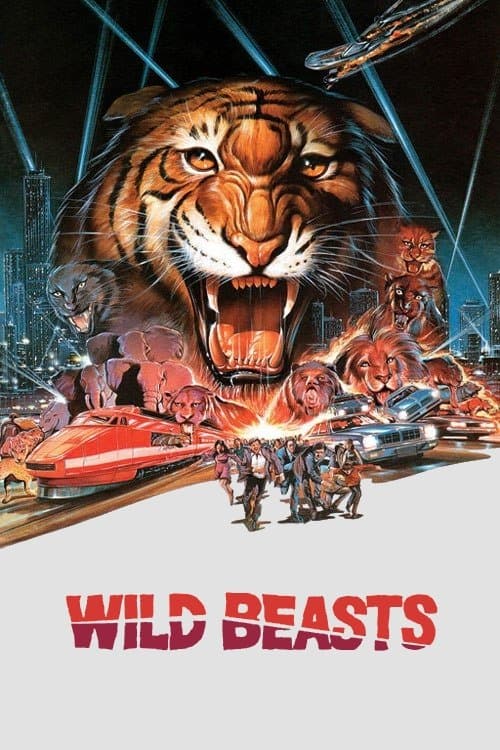 Wild Beasts photo