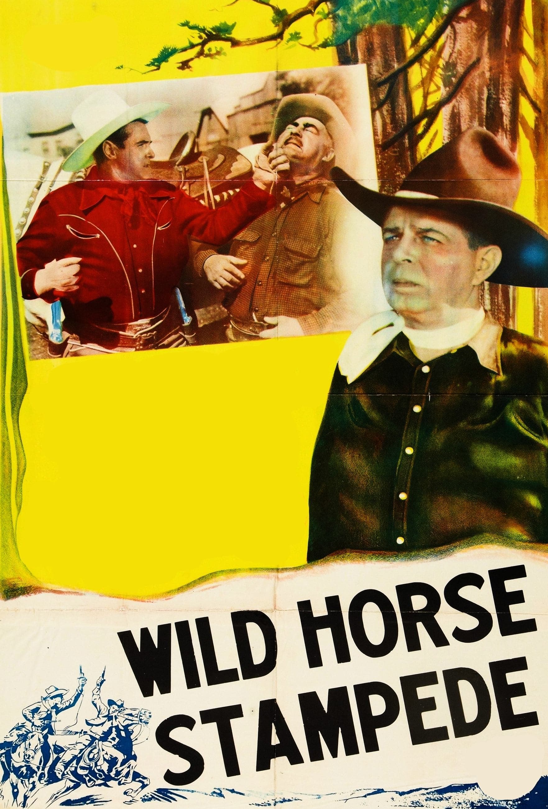 Wild Horse Stampede photo