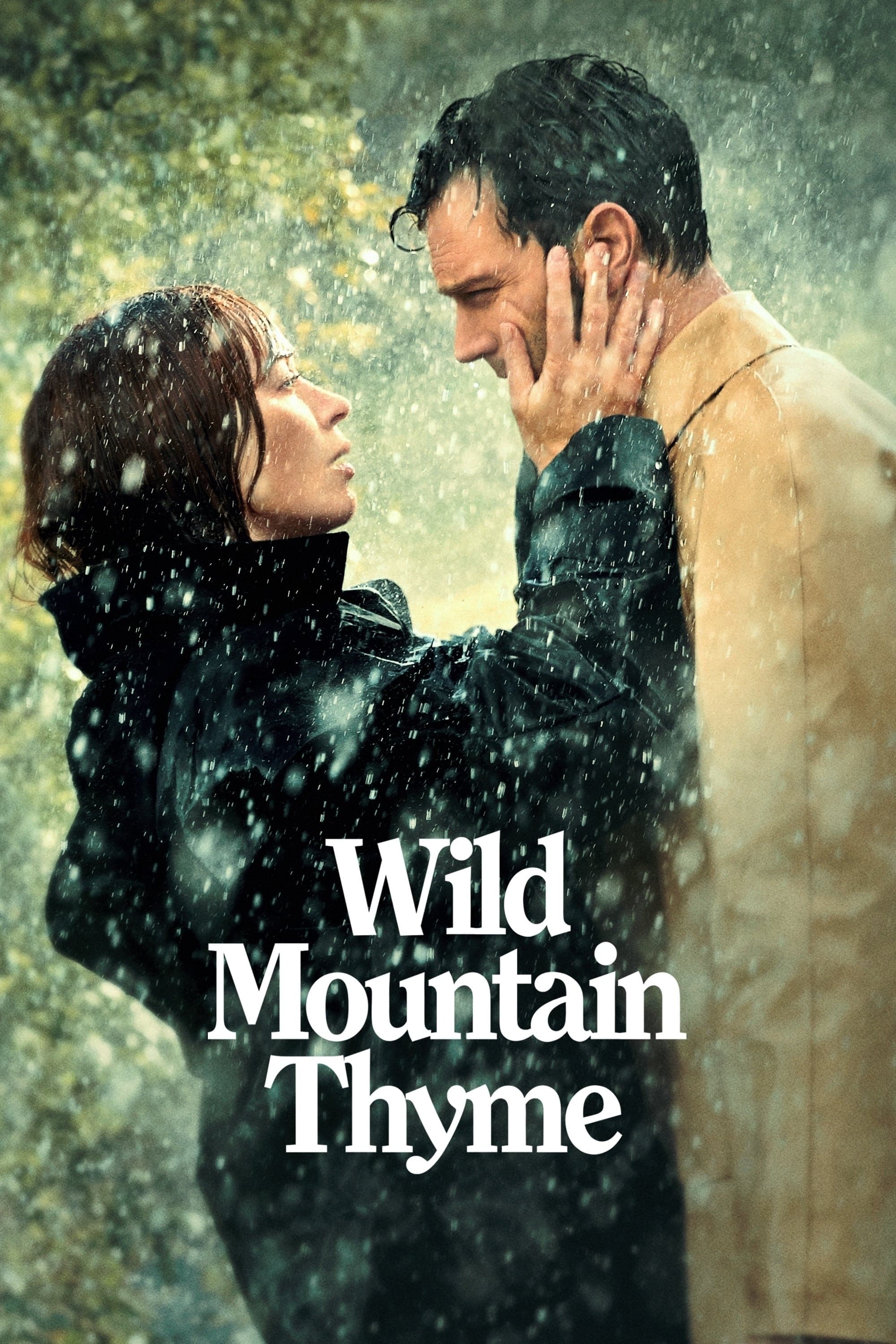 Wild Mountain Thyme photo