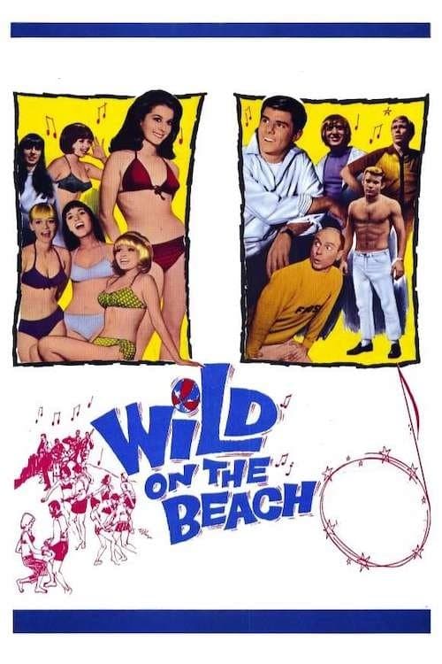 Wild on the Beach photo
