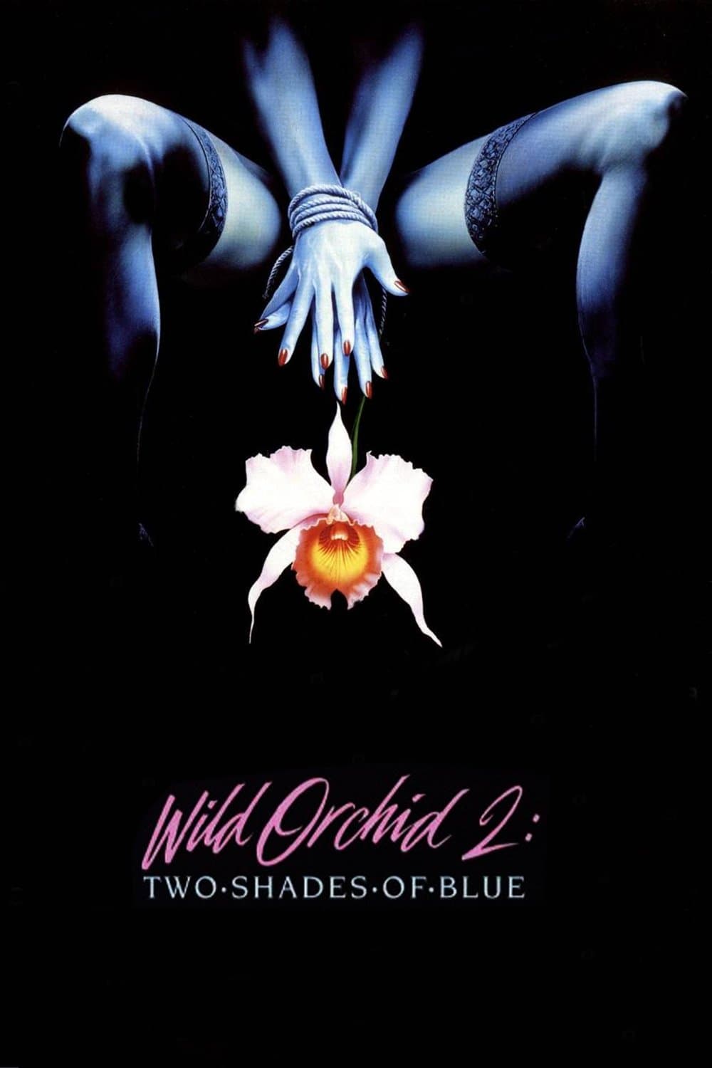 Wild Orchid II: Two Shades of Blue photo