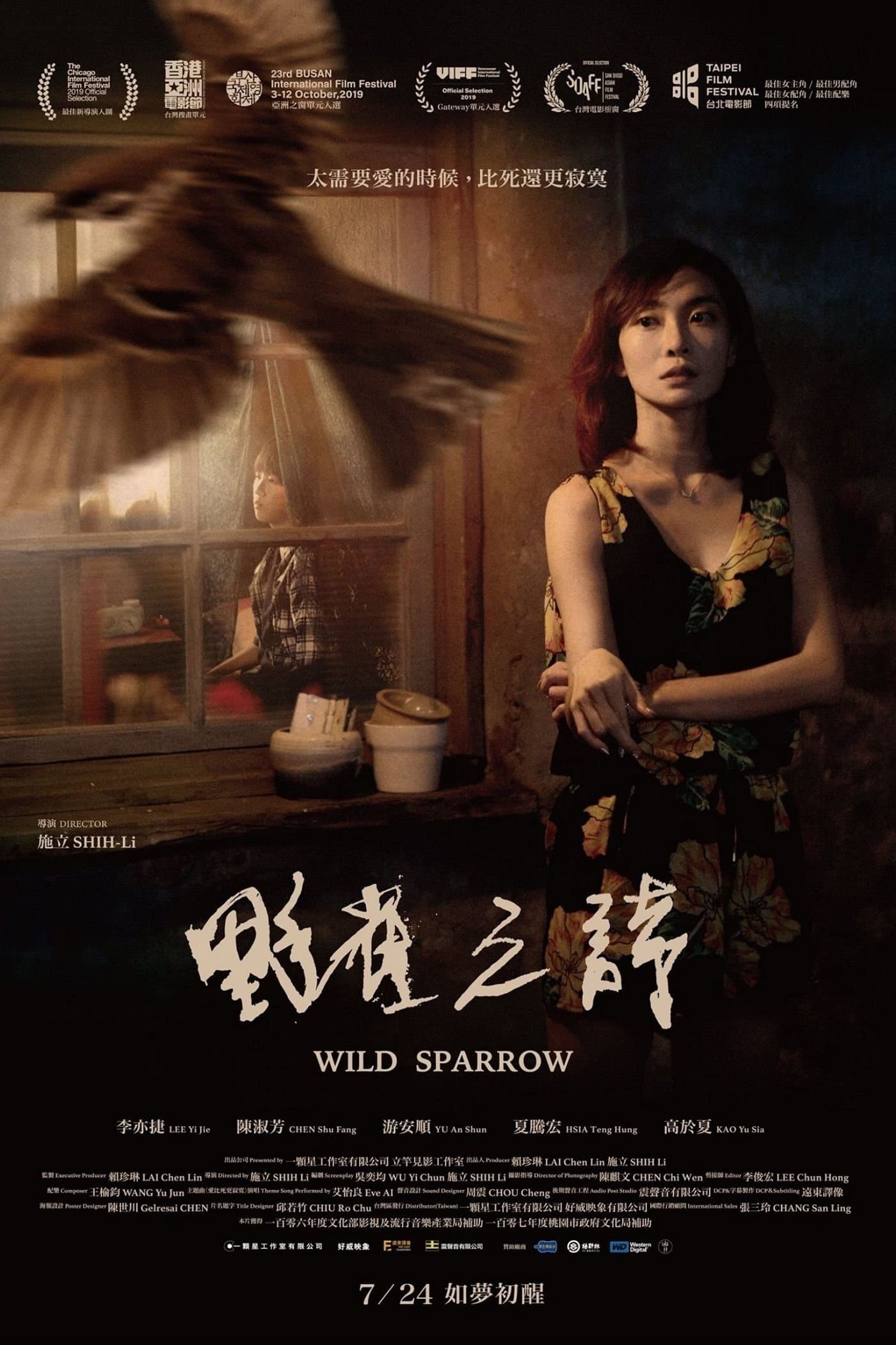 Wild Sparrow photo