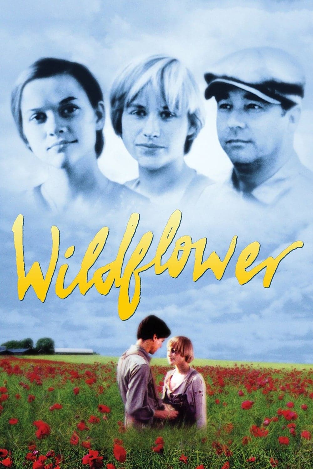 Wildflower photo