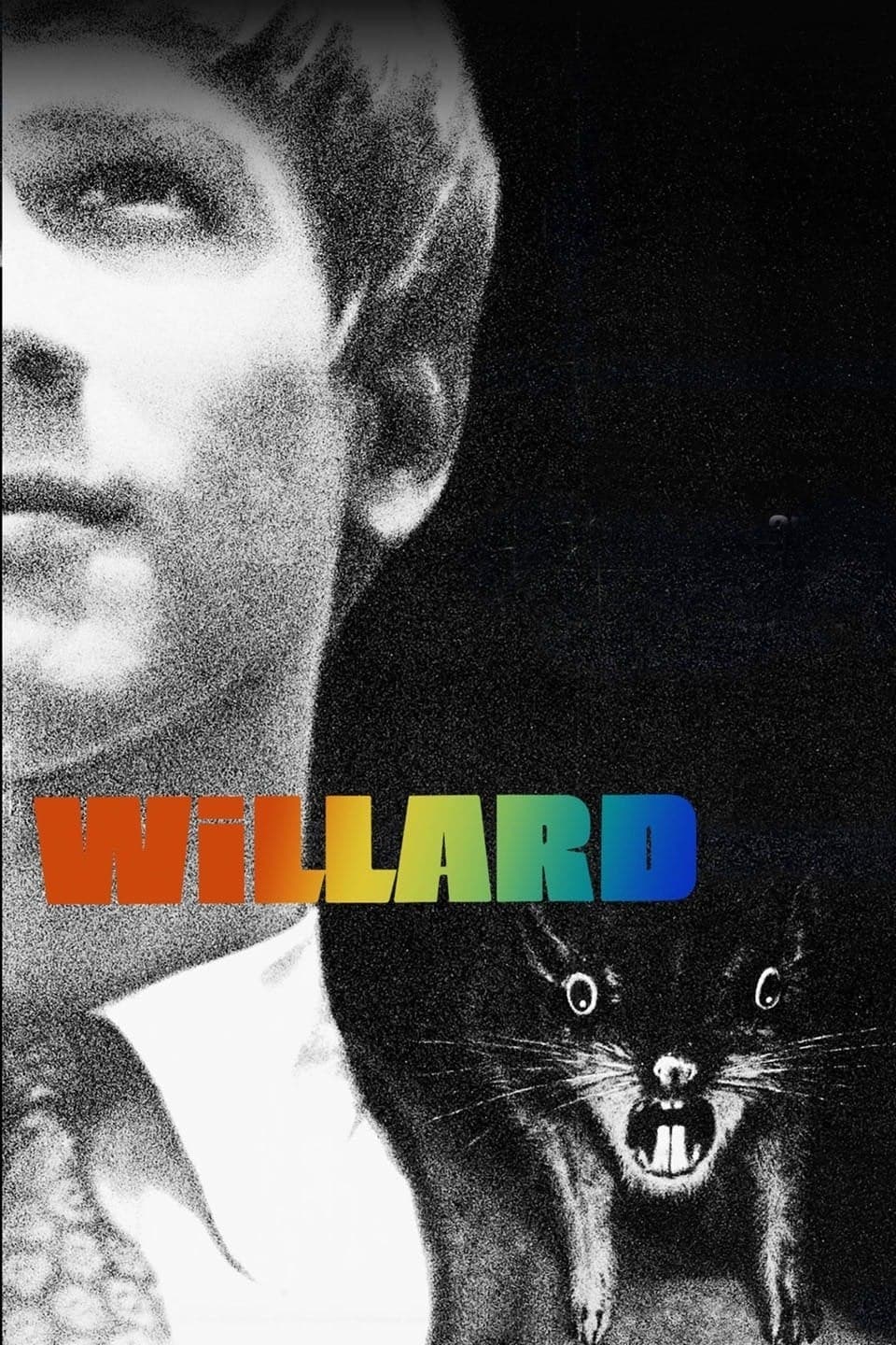 Willard photo