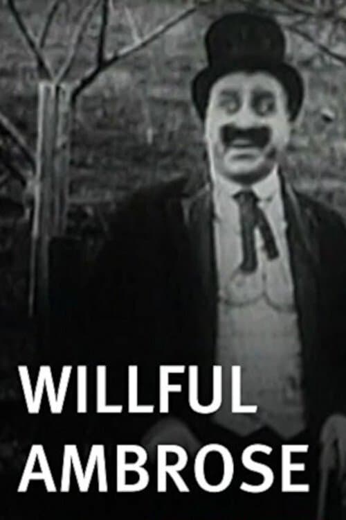 Willful Ambrose photo