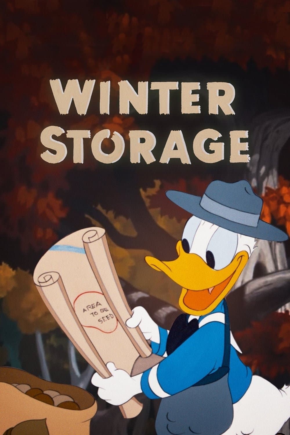 Winter Storage photo