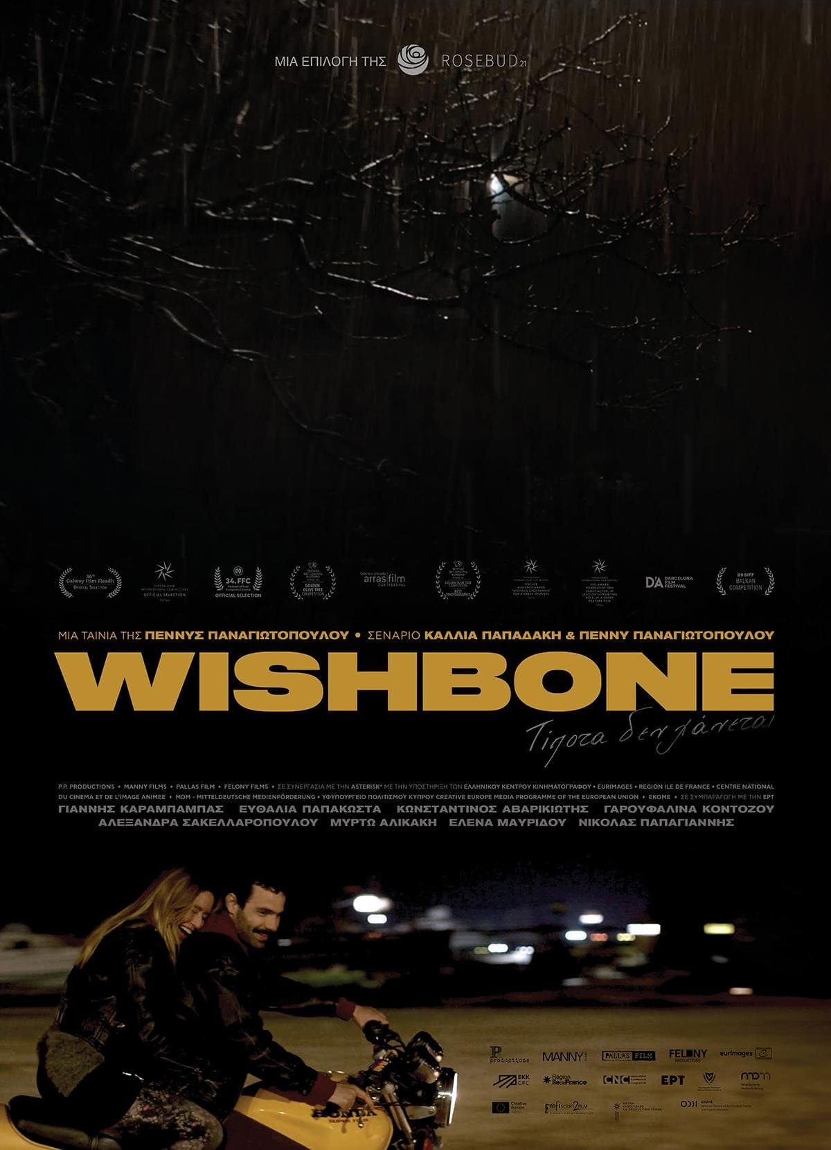 Wishbone photo