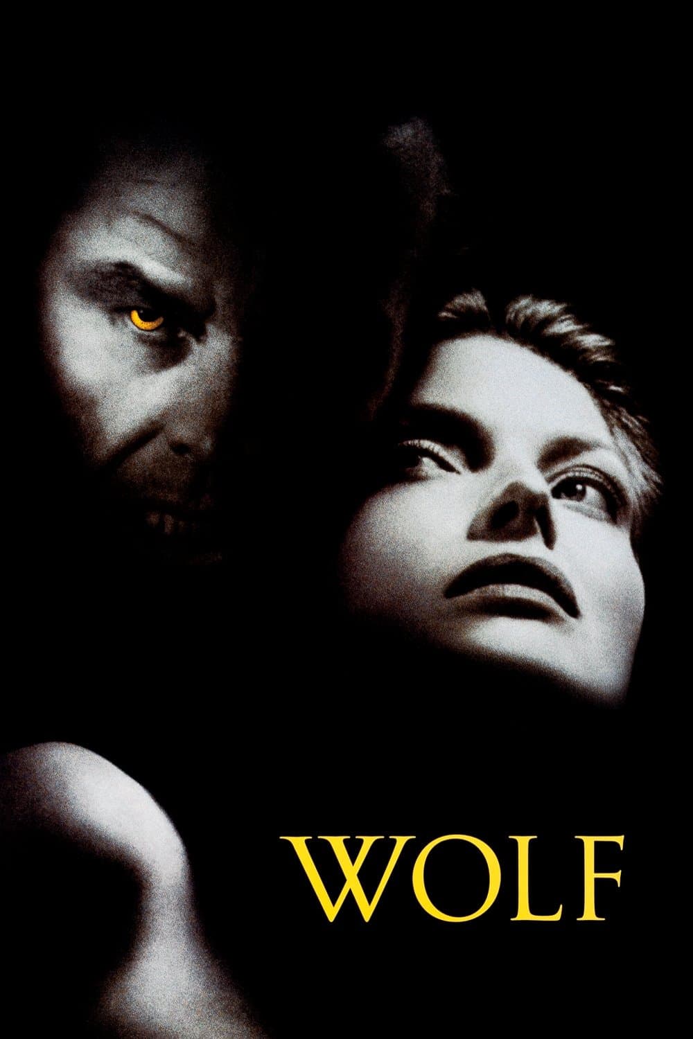 Wolf photo
