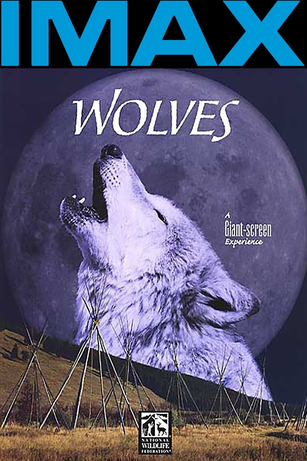Wolves photo