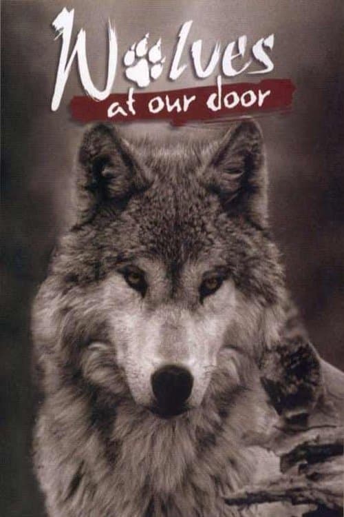 Wolves at Our Door photo