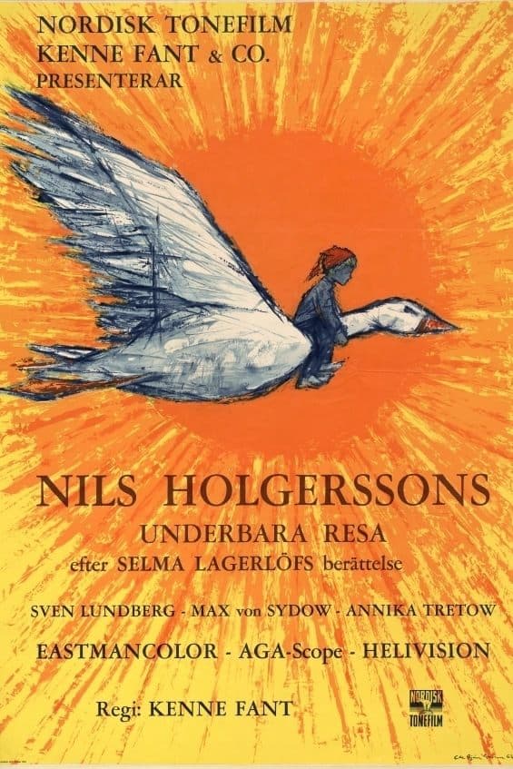 Wonderful Adventures of Nils photo