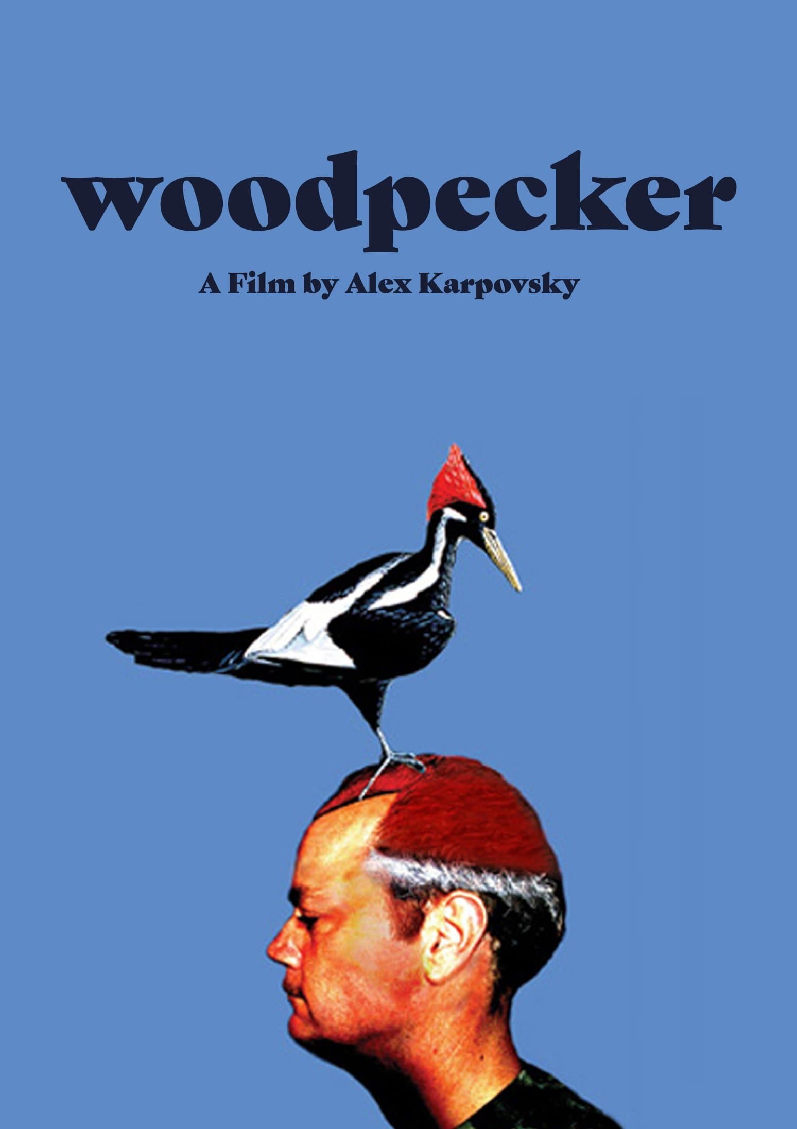 Woodpecker photo