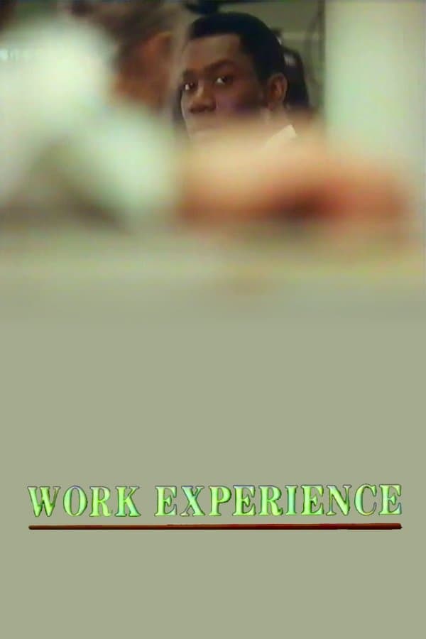Work Experience photo