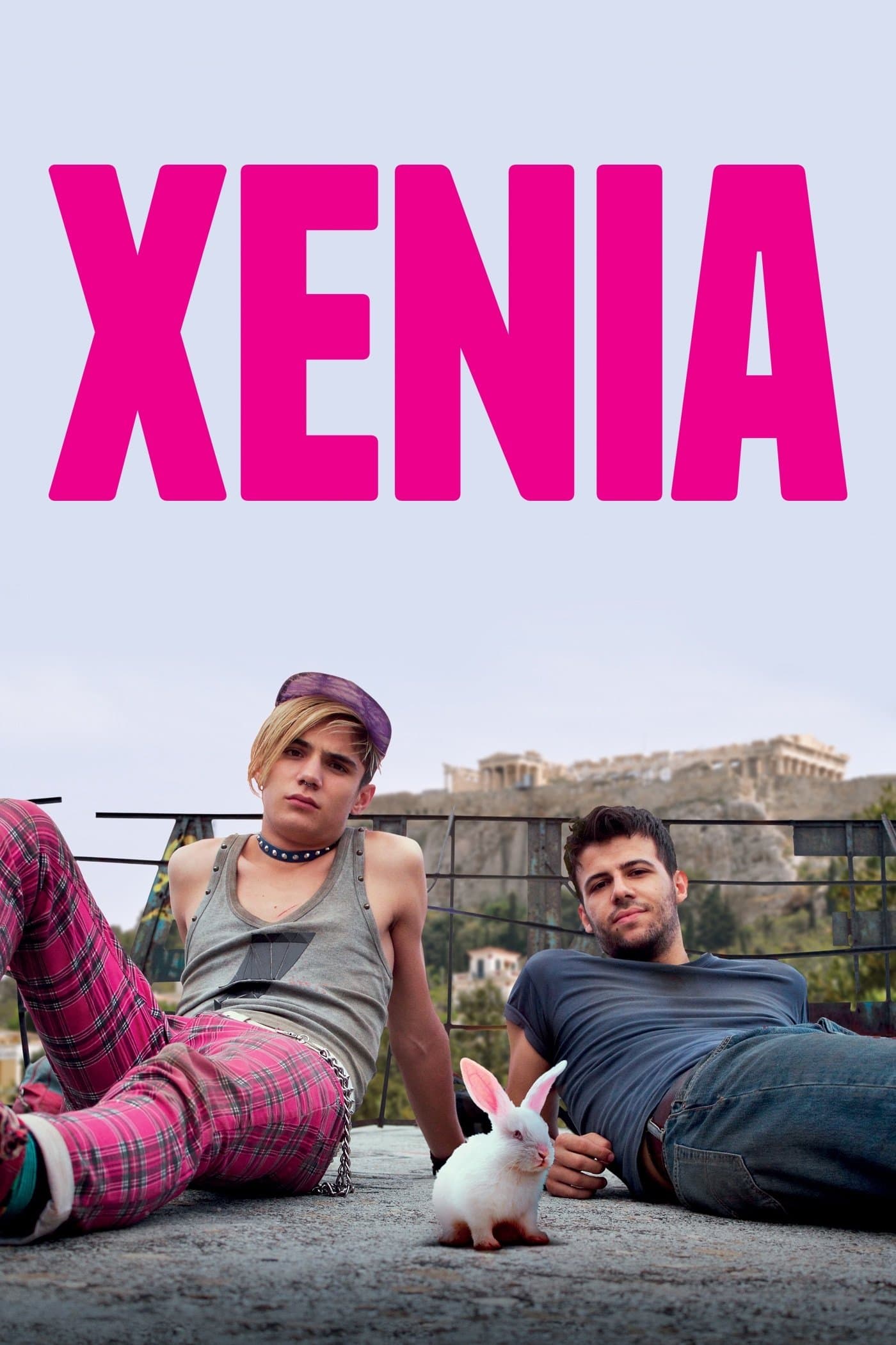 Xenia photo