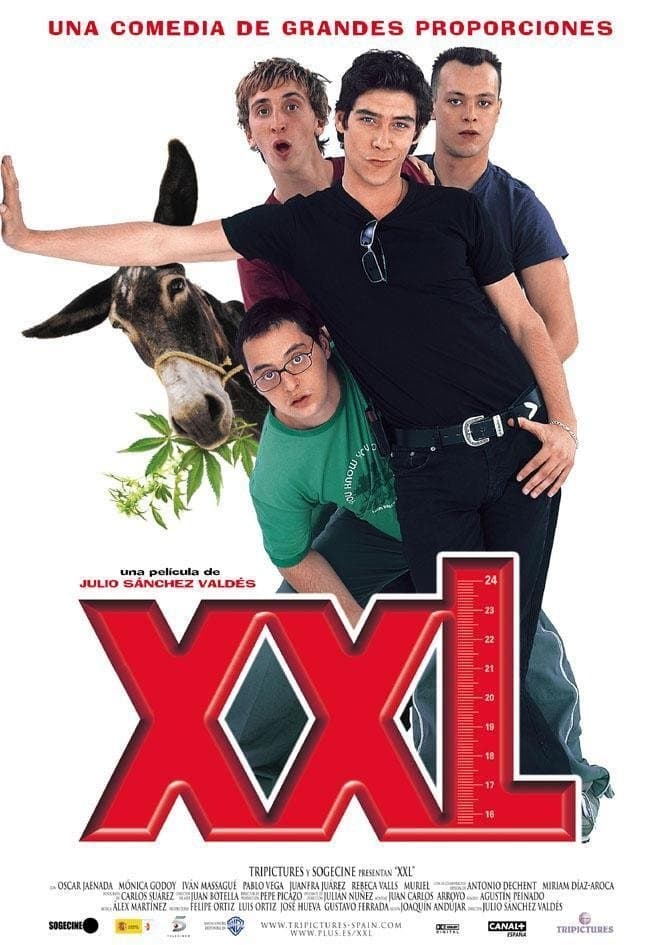 XXL photo