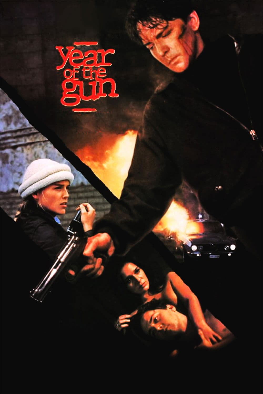 Year of the Gun photo