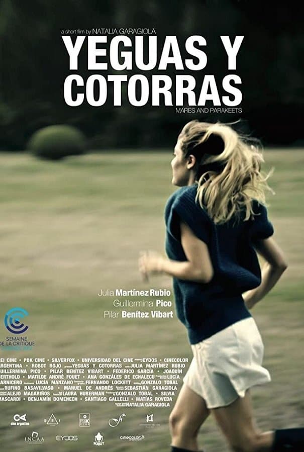 Yeguas y cotorras photo