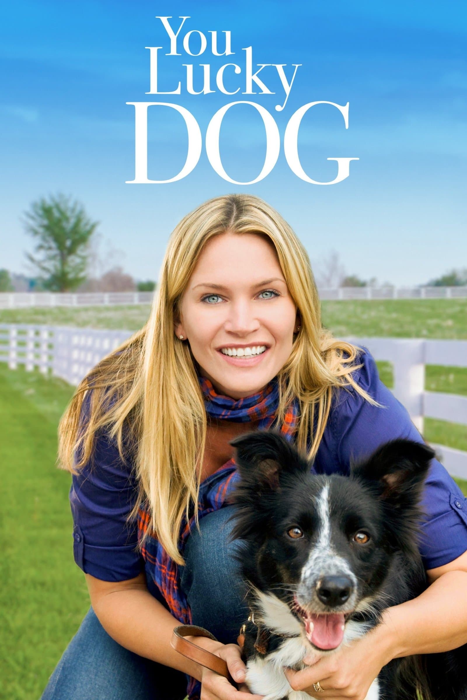 You Lucky Dog photo