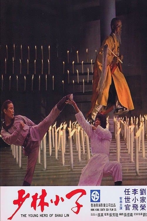 Young Hero of Shaolin photo