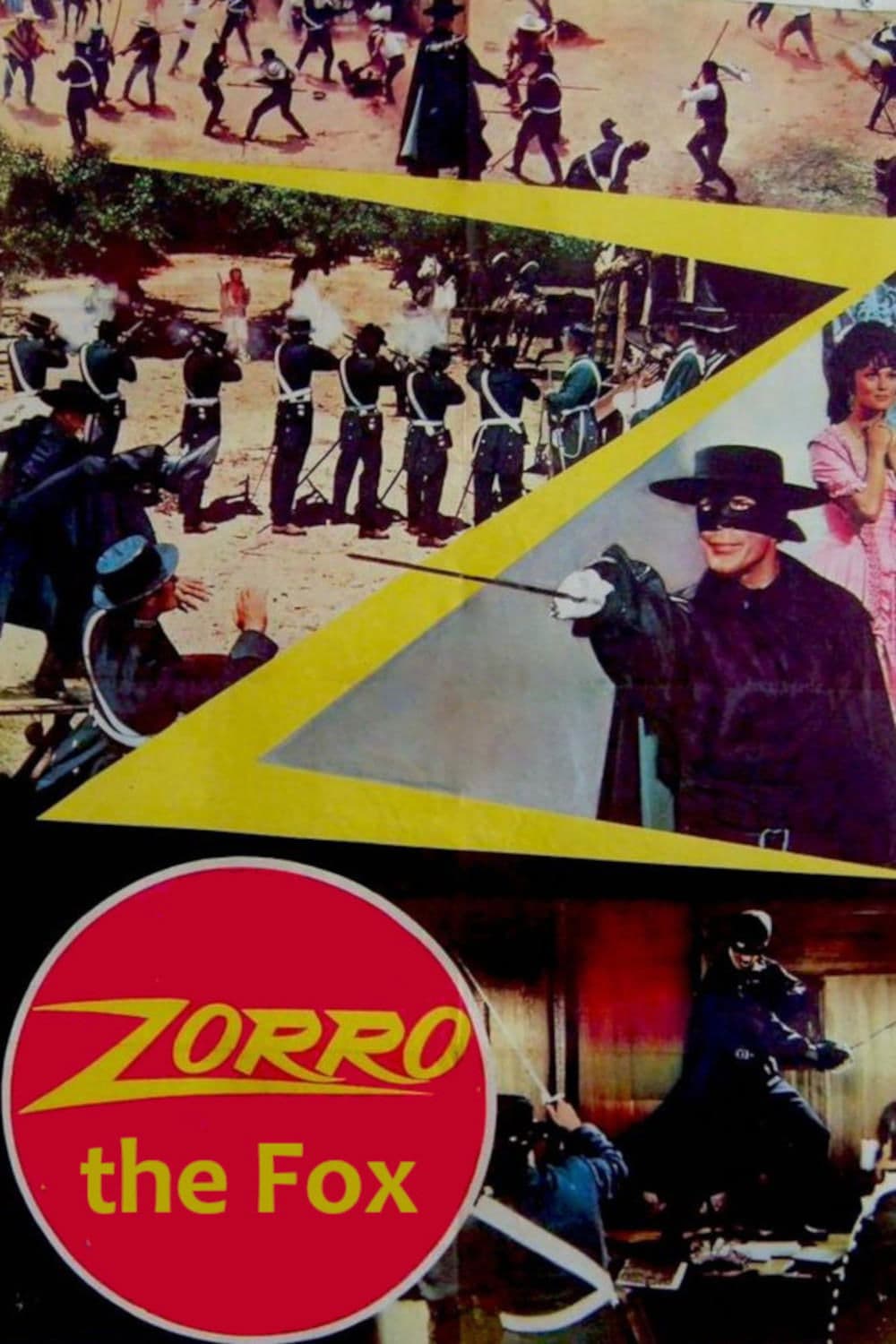 Zorro the Fox photo