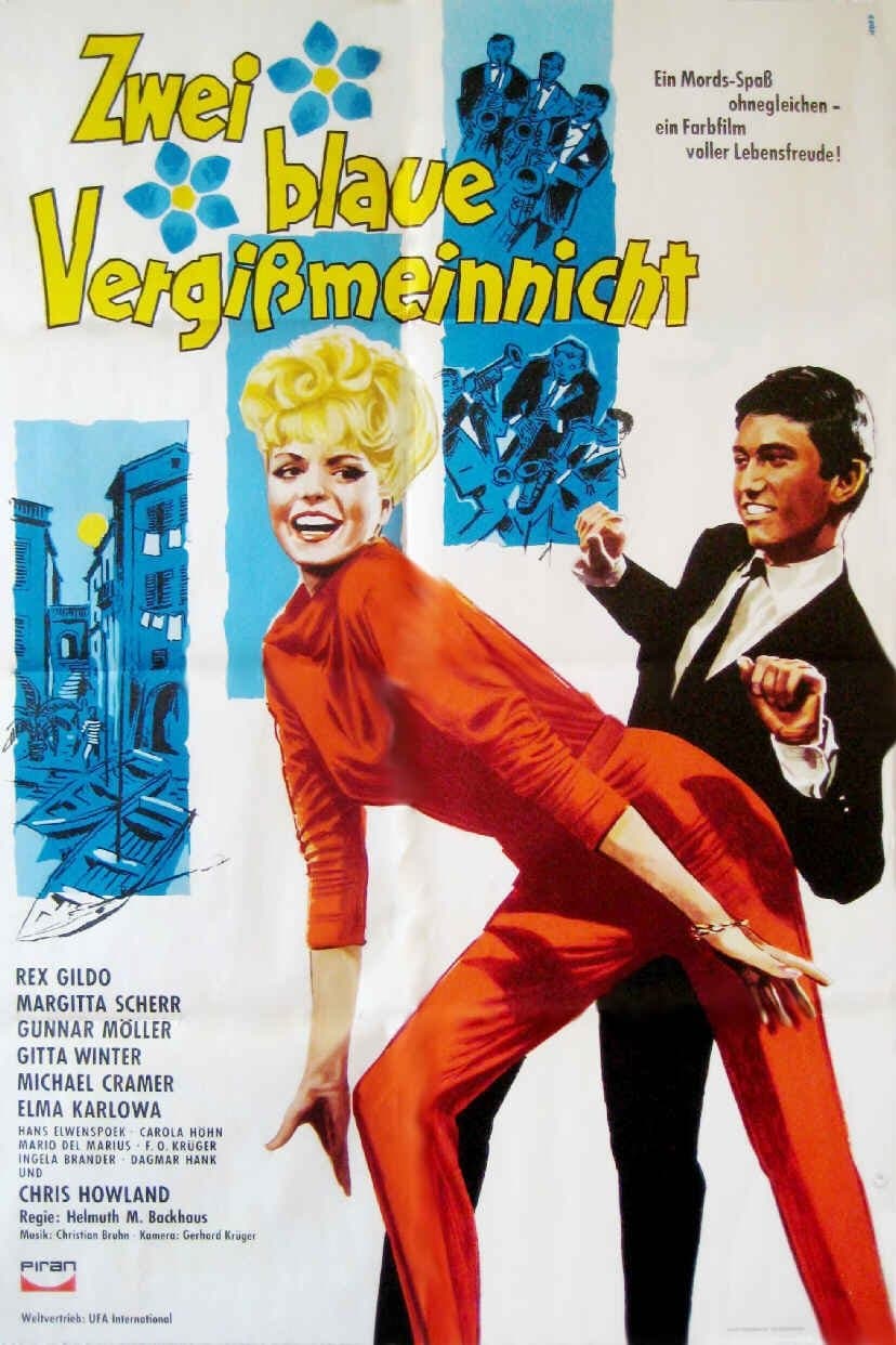 Zwei blaue Vergissmeinnicht photo