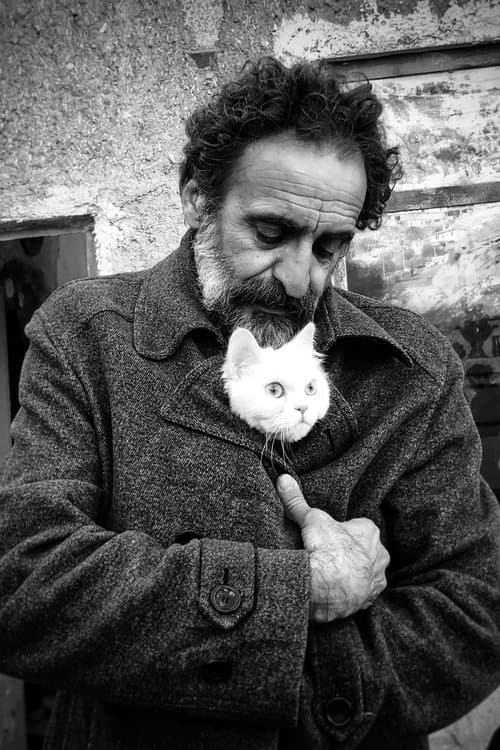 Bakhtiyar Panjeei photo