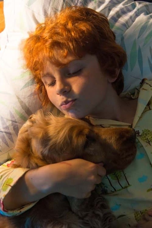 Charlie Langendries photo