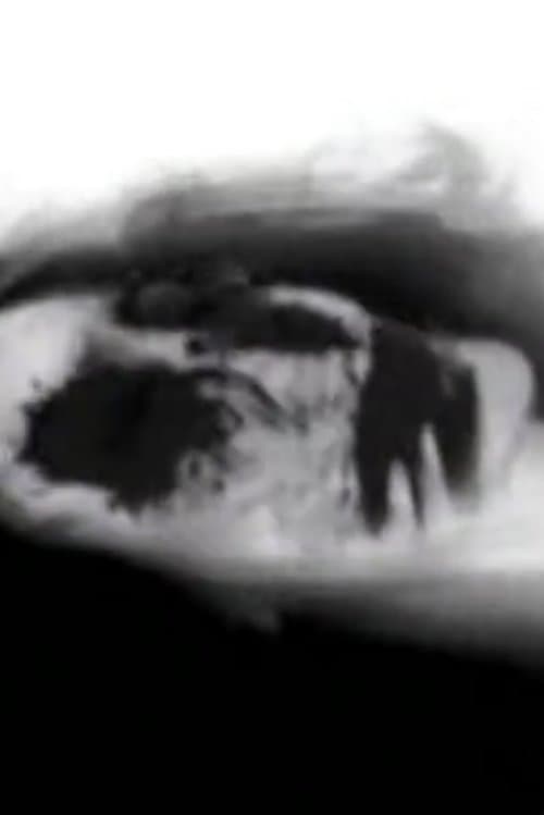 Cinderella Valentine photo