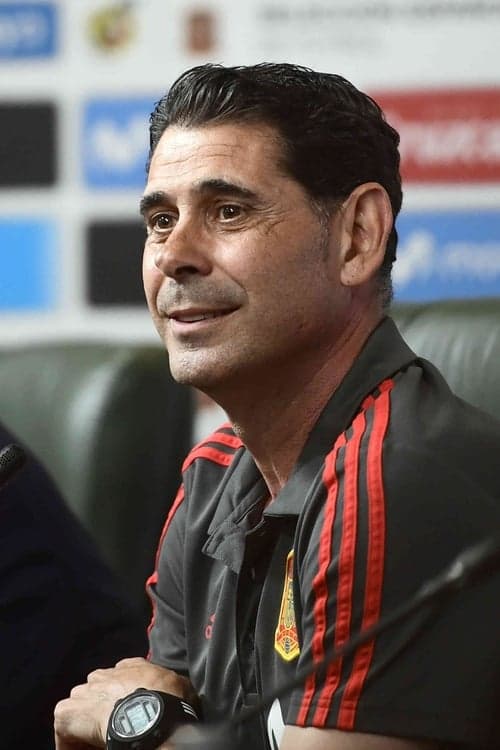 Fernando Hierro photo