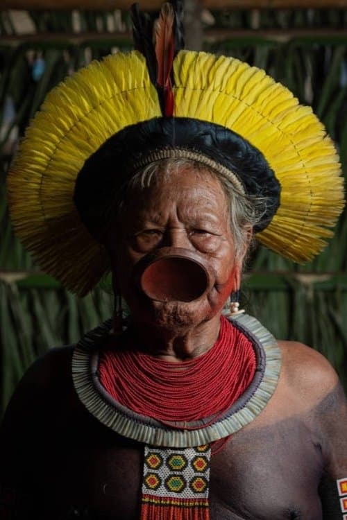 Raoni Metuktire photo