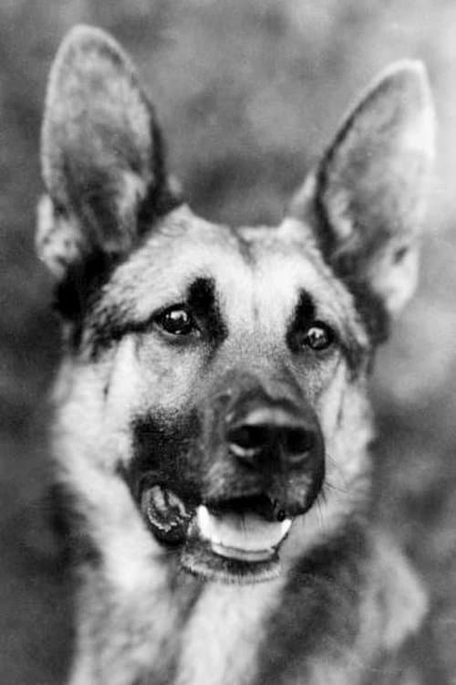 Strongheart photo