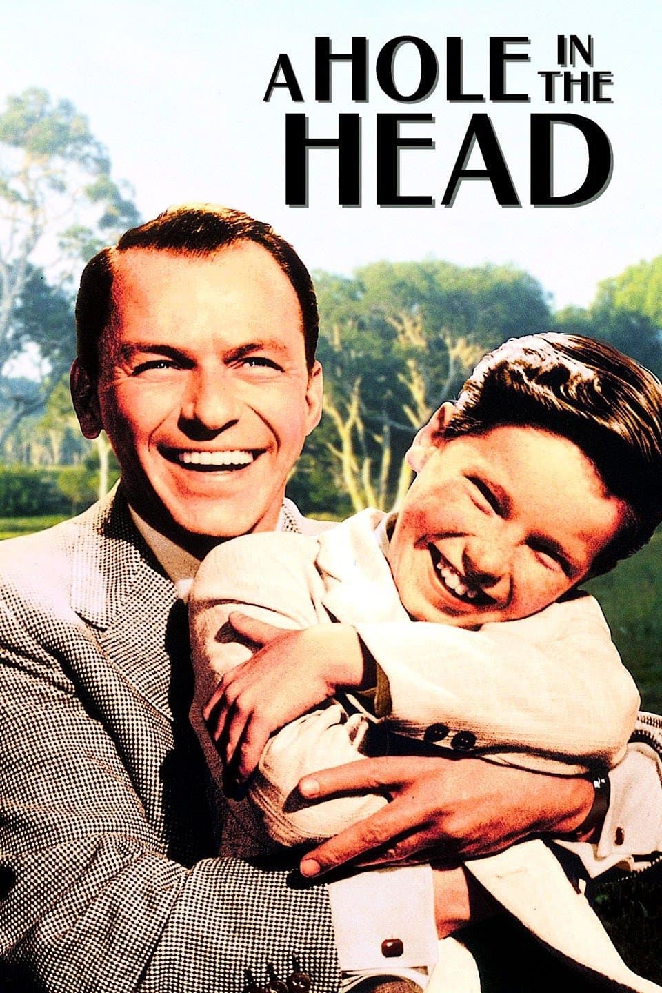 A Hole in the Head photo